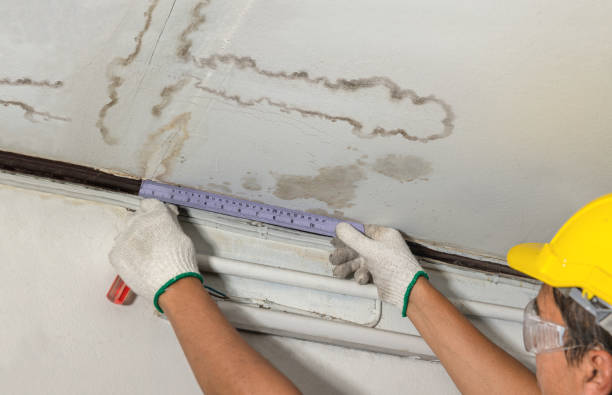 Reliable Mold Remediation contractor in Ridgeway, VA by Water Damage Irwin